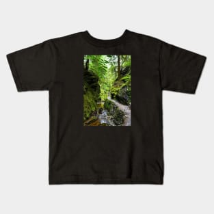 Puck's Glen, Scotland Kids T-Shirt